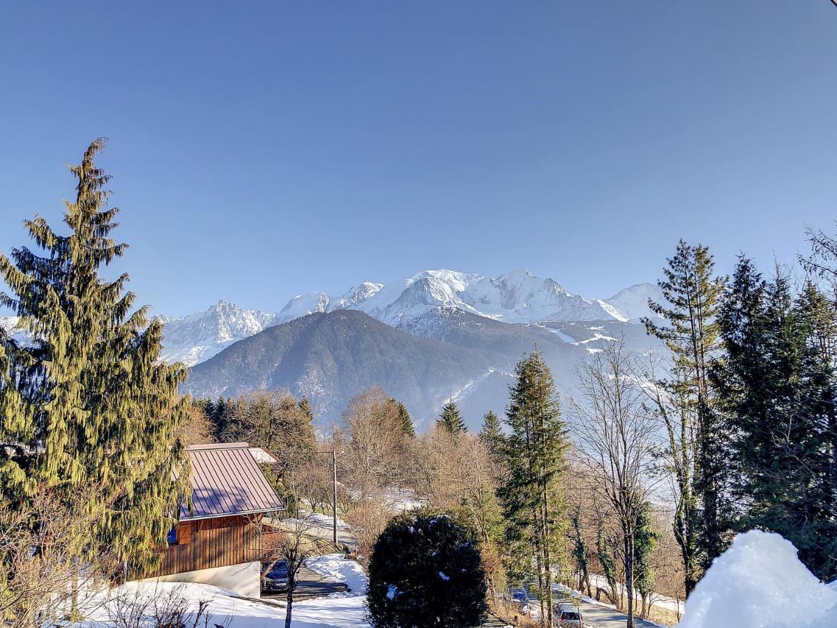 شقة Mont Alt, F2 40M2 En Rdc, Calme, Vue Mt Blanc باسي المظهر الخارجي الصورة
